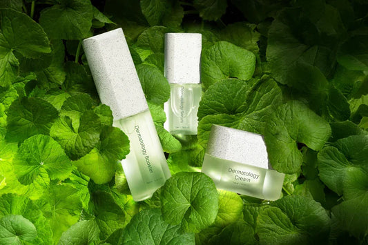 Why Everyone in Canada Is Talking About INCELLDERM