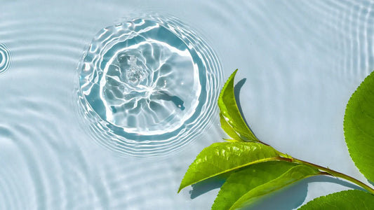 A Ritual for Radiance: The Power of Skin Training