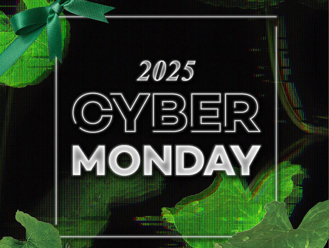 Cyber Monday Is Here