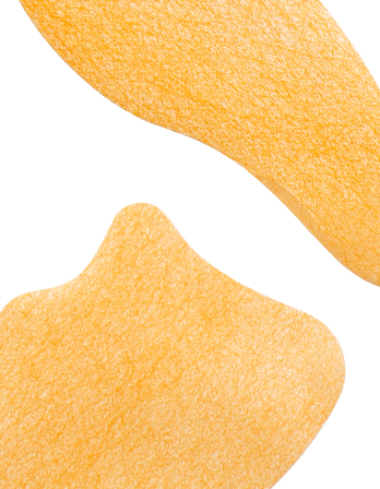 INCELLDERM COLLAGEN 100 MELTING SHEET - 6 SHEETS