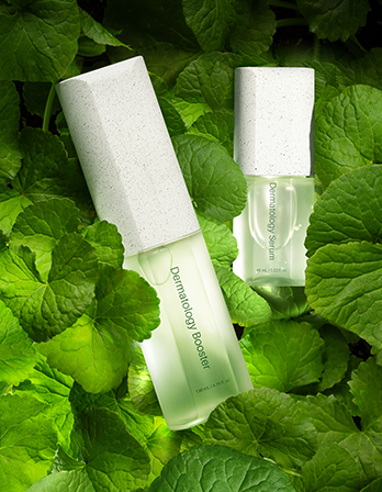 INCELLDERM Dermatology First Package EX – Incellderm Canada INCELLDERM Dermatology First Package EX – Incellderm Canada