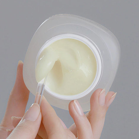 INCELLDERM Active Cream EX – Incellderm Canada
